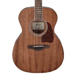 IBANEZ Artwood Acoustic Guitar Open Pore Natural