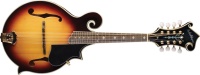 Washburn M3SWK w/Case
