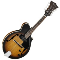 Tanglewood Scroll Style Cutaway Mandolin