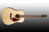SEAGULL Maritime SWS