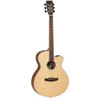 Tanglewood Discovery Acoustic Guitar
