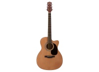 LAUREL CANYON LA-100 Acoustic Guitar