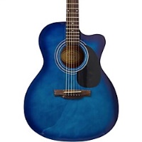LAUREL CANYON LA-100 Acoustic Guitar Transparent Blue