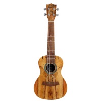 Amahi Spalted Maple Concert Ukulele