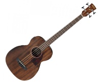 IBANEZ 4-String Acoustic Bass Guitar