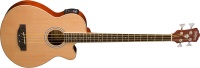 Washburn AB5K Acoustic Bass