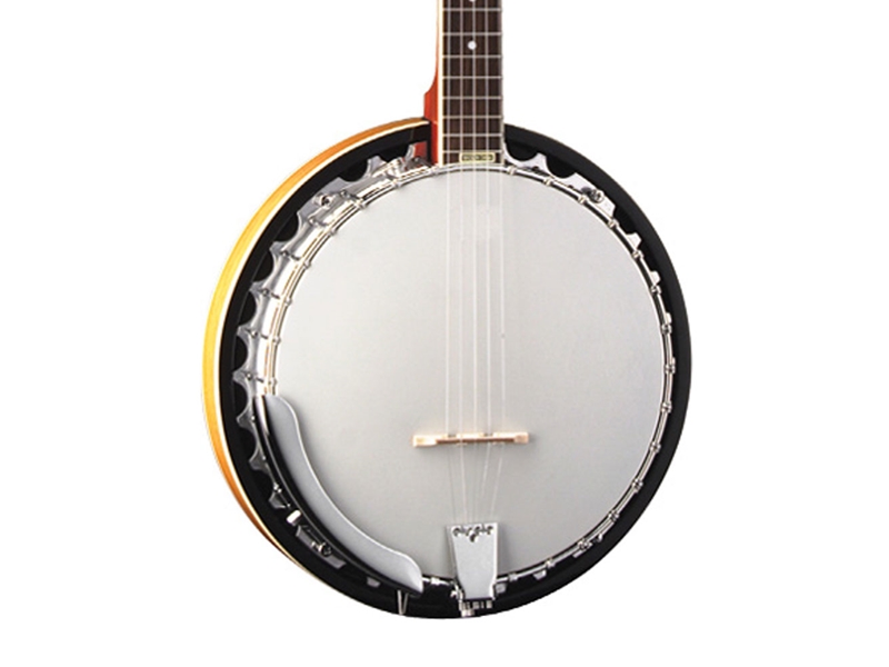 Jim's Music - WASHBURN B9 5-String Banjo, Sunburst