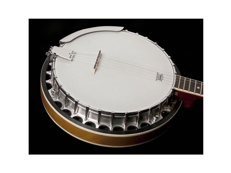 Jim's Music - WASHBURN B9 5-String Banjo, Sunburst