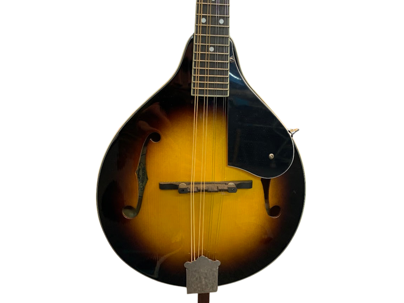 クラシック AMERICANFOLKMUSIC Jim's Music - Washburn Americana Series A-Style Mandolin