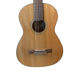 Fender FA-15N 3/4 Nylon w/ Gig Bag
