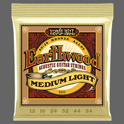 ERNIE BALL Earthwood Medium-Light