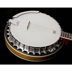バンジョー washburn B-9 Washburn Guitars