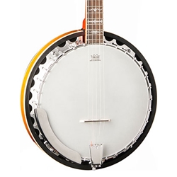WASHBURN B10 5-String Banjo