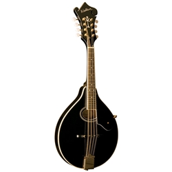 WASHBURN M1SD Mandolin, Black