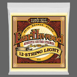 ERNIE BALL Ernie Ball Earthwood 12-String Light